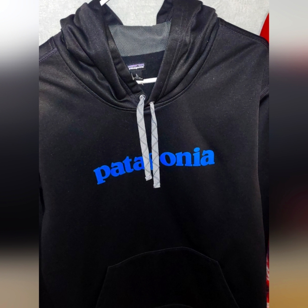 Patagonia Text Logo Hoodie